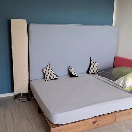 Wohnung In Den Weinbergen Wachenheim an der Weinstraße Exterior foto