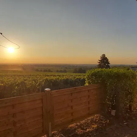 Wohnung In Den Weinbergen Wachenheim an der Weinstraße Exterior foto